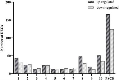 Integrating network pharmacology analysis and pharmacodynamic evaluation for exploring the active components and molecular mechanism of moutan seed coat extract to improve cognitive impairment